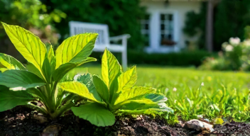 Die 6 häufigsten Fehler bei der Gartenpflege
